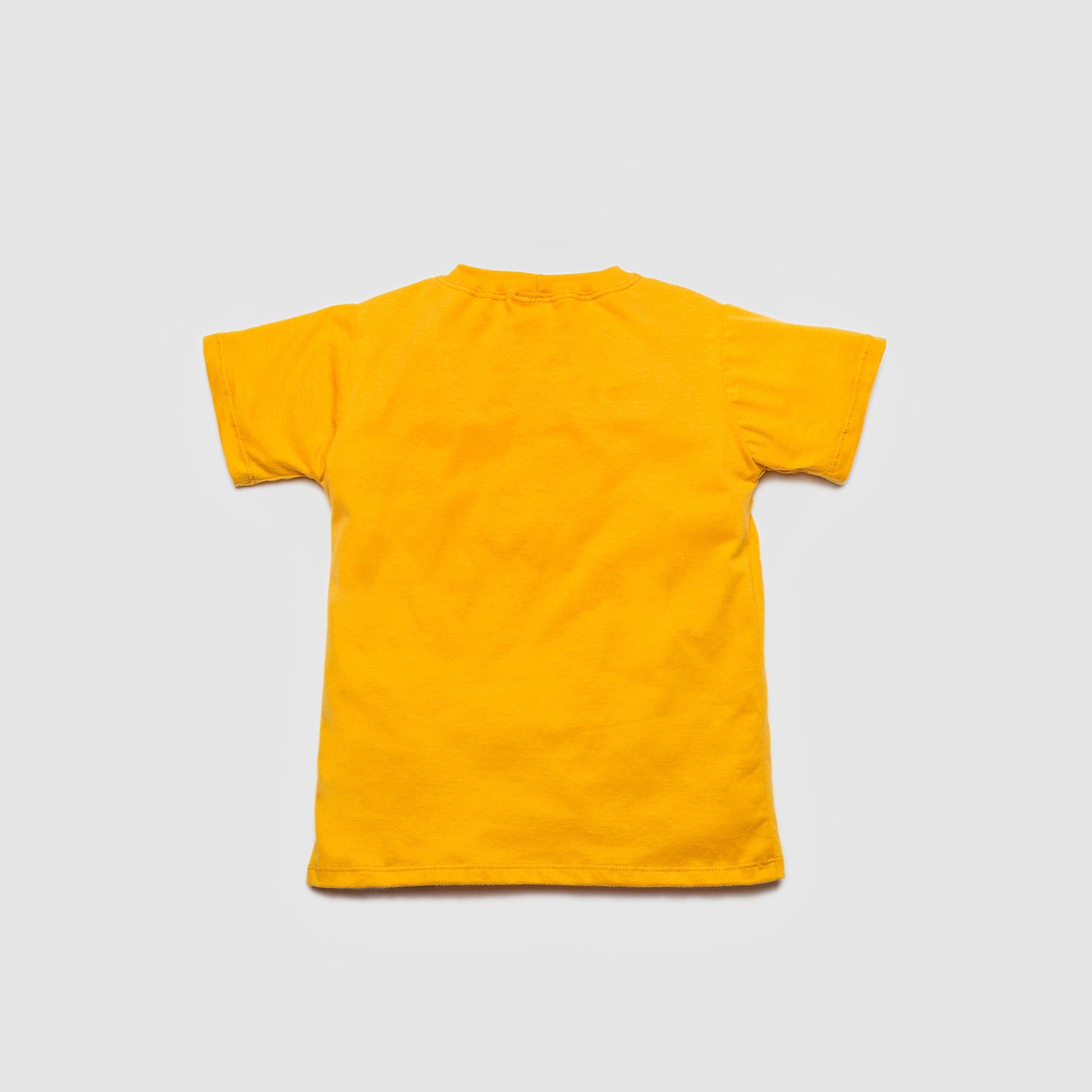 Camiseta Longa Infantil Leãozinho